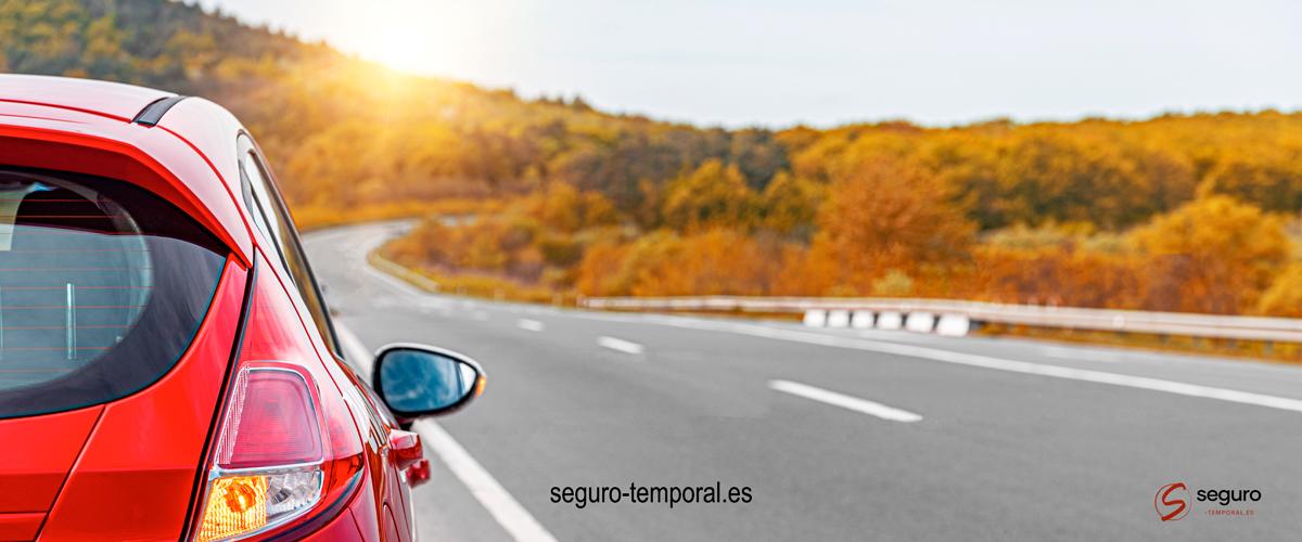 Lee más sobre el artículo Quiero traer un vehículo del extranjero: Guía completa para profesionales de la compra-venta de coches