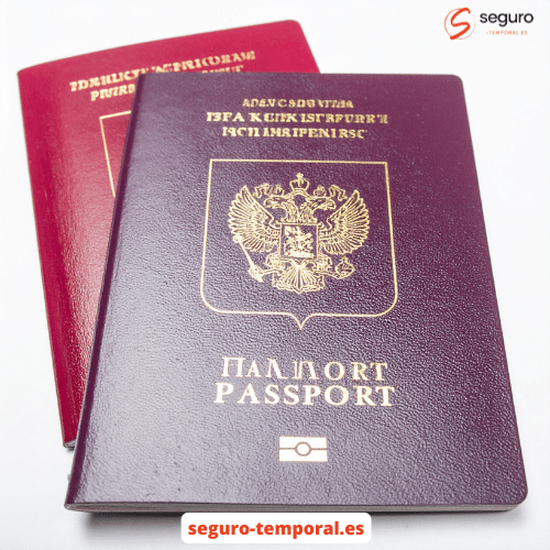 Requisitos y condiciones para conductores internacionales - seguro-temporal.es
