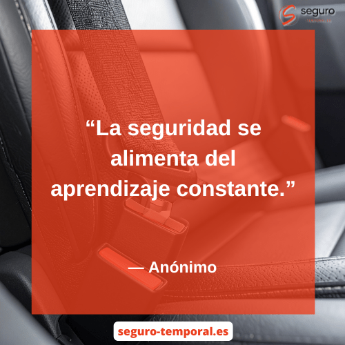 La seguridad se alimenta del aprendizaje constante - seguro-temporal.es