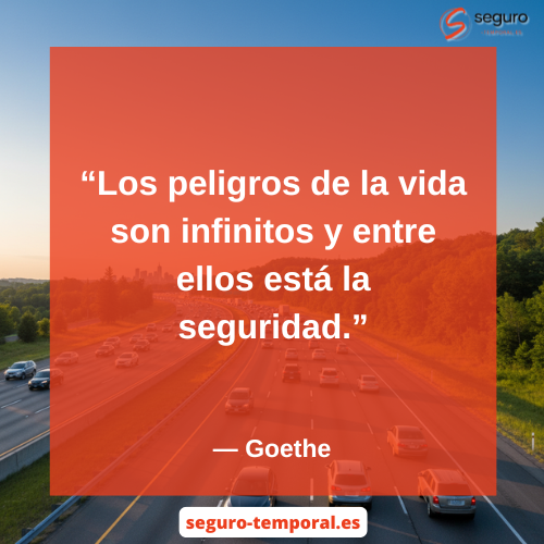 Los peligros de la vida son infinitos y entre ellos está la seguridad - seguro-temporal.es